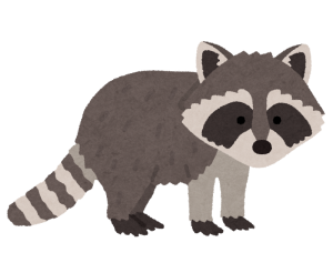 アライグマイラスト