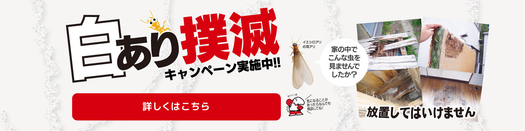 株）三和技研 | 長崎県のシロアリ(白蟻・白あり)駆除・予防、蜂駆除