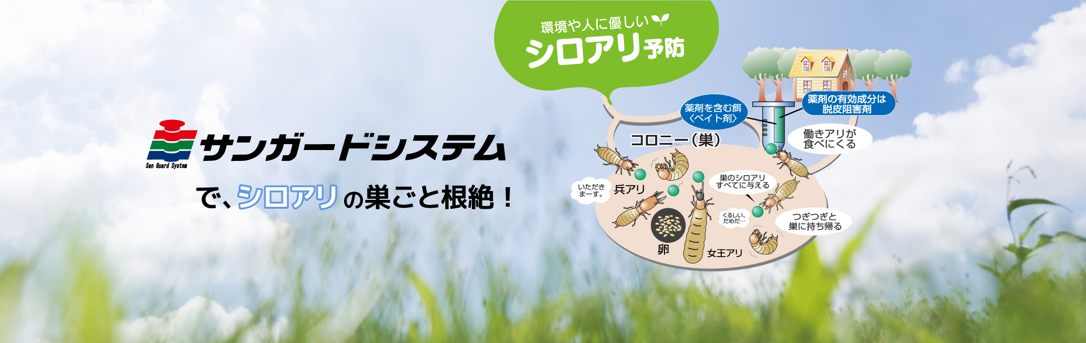 しろあり点検、白蟻お見積り無料！