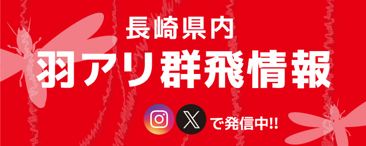 羽アリ警報発令中