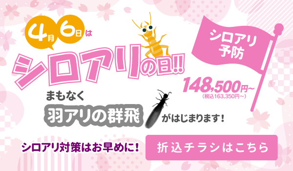 4月6日はシロアリの日！キャンペーン実施中！